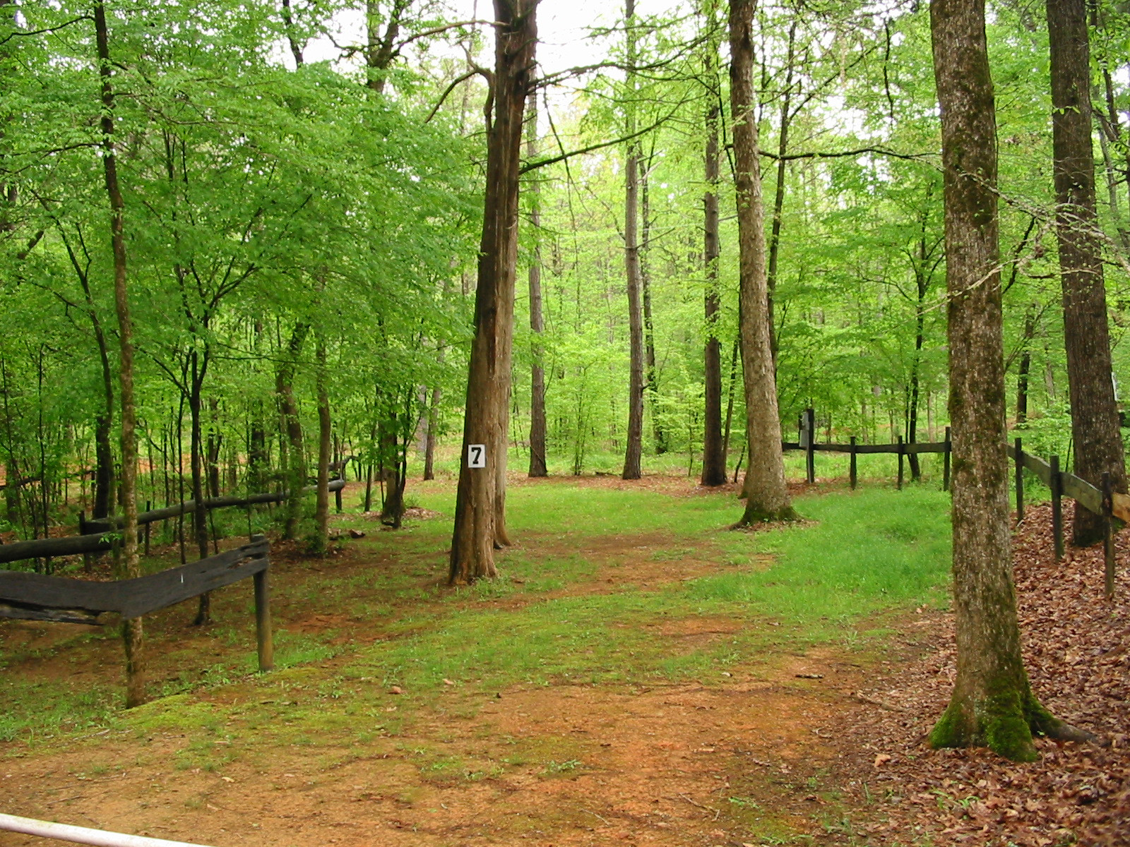 Big Creek RV Park of Saluda SC