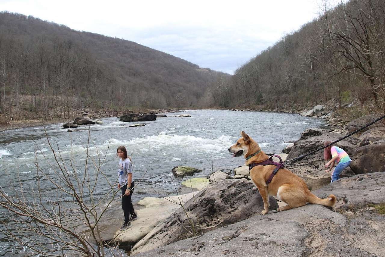 Nearby Cheat River outside Rowlesburg, WV