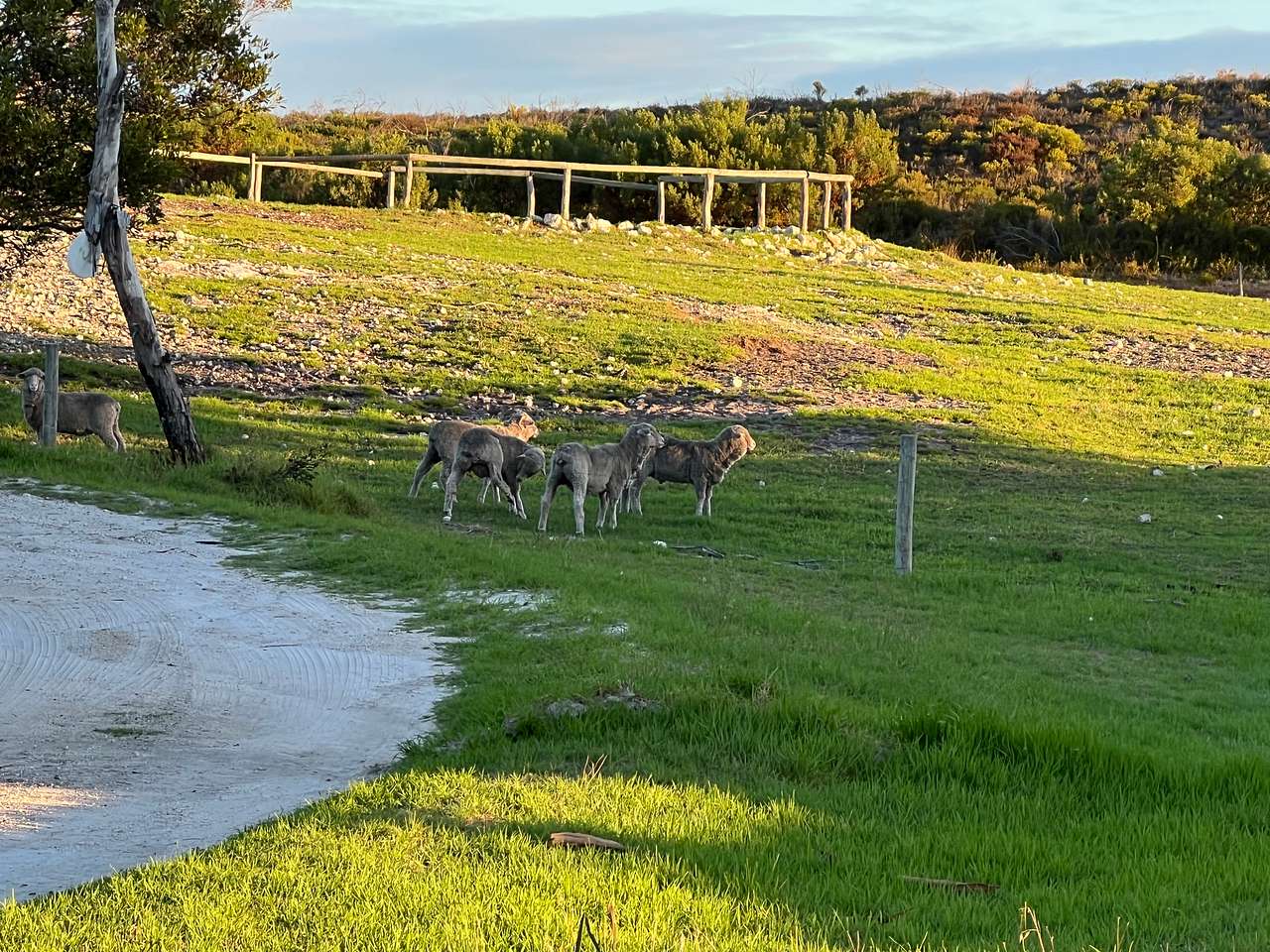 Nakuru Pastoral