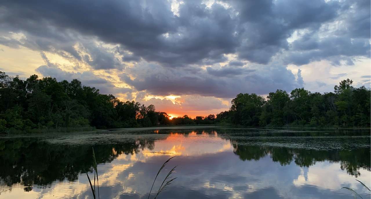 Sunset over the pond