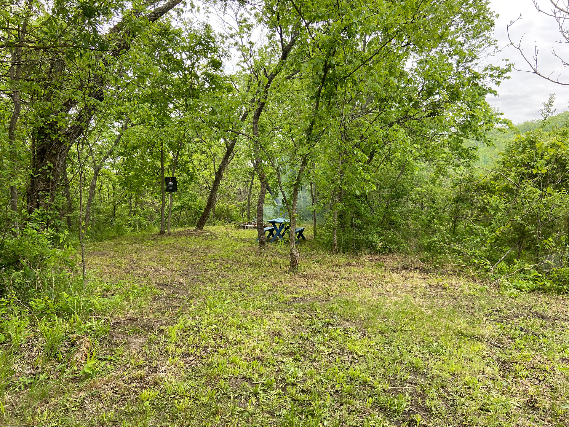 Camping shower, picnic table & fire pit for cooking or campfires. 