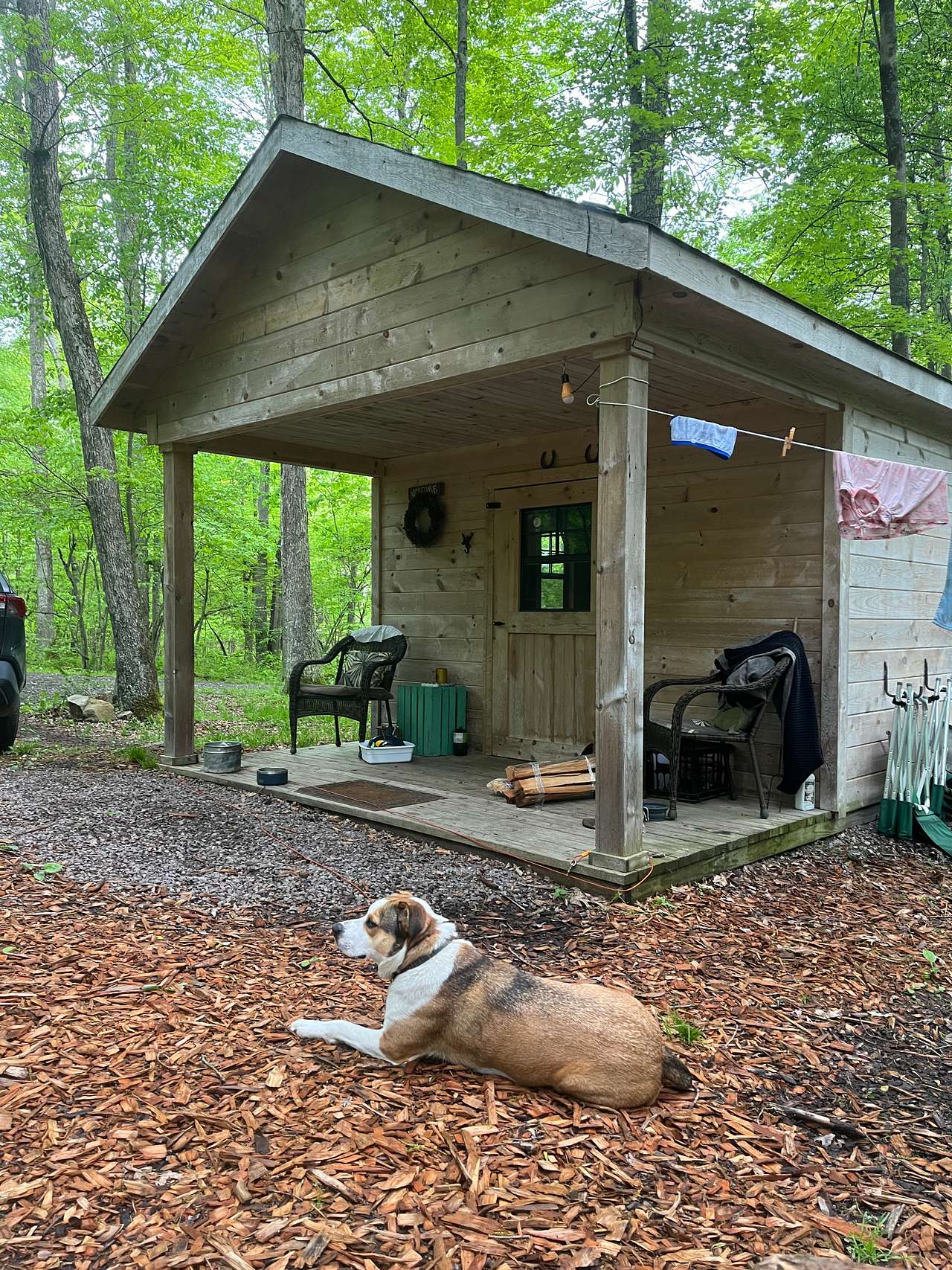 Wild Yough Glamping Huts