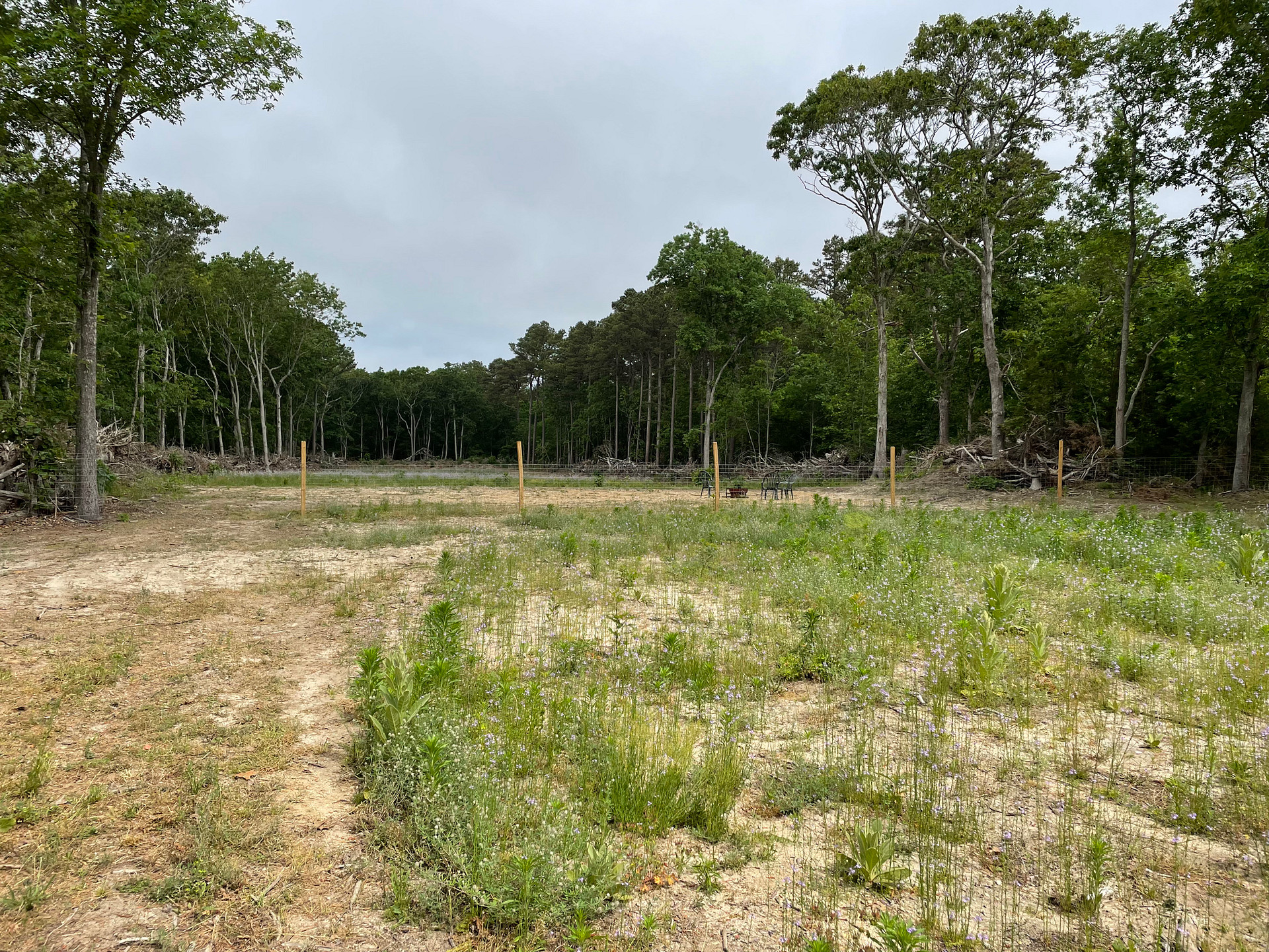 Open Field for Dry Camping