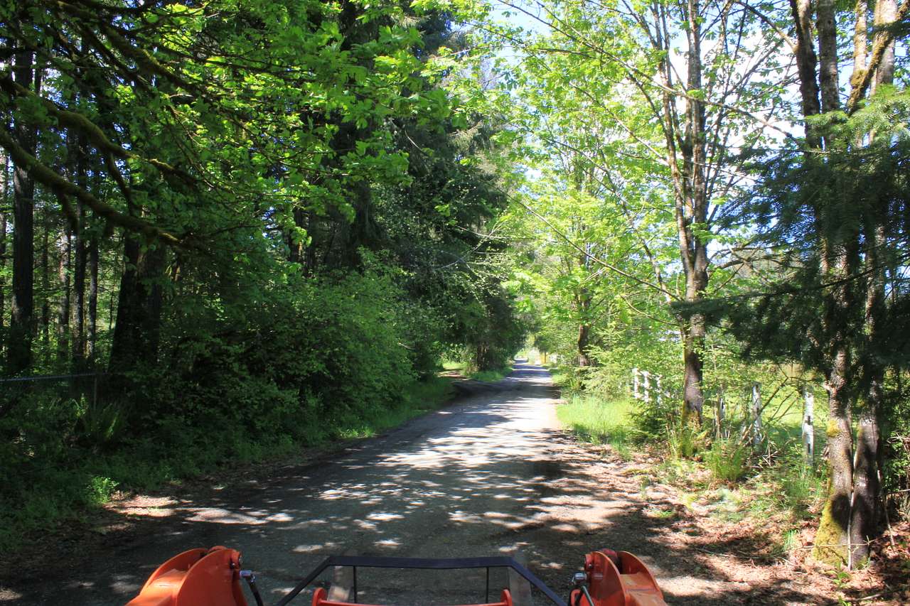 pulling into driveway