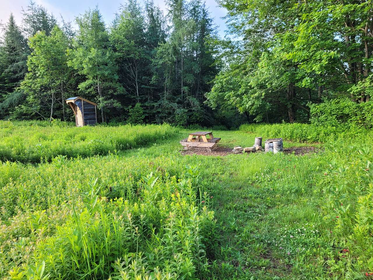 Old Farm Field