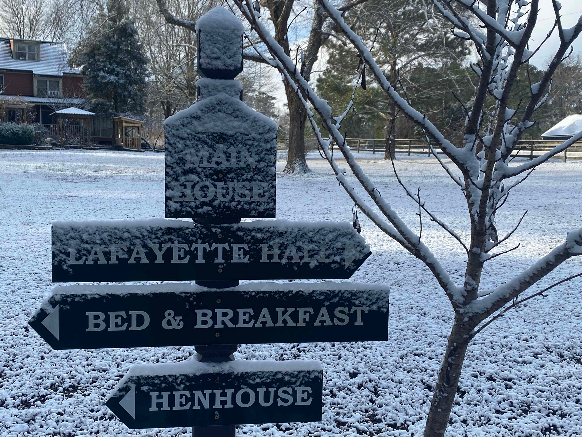 Peace Hill Farm