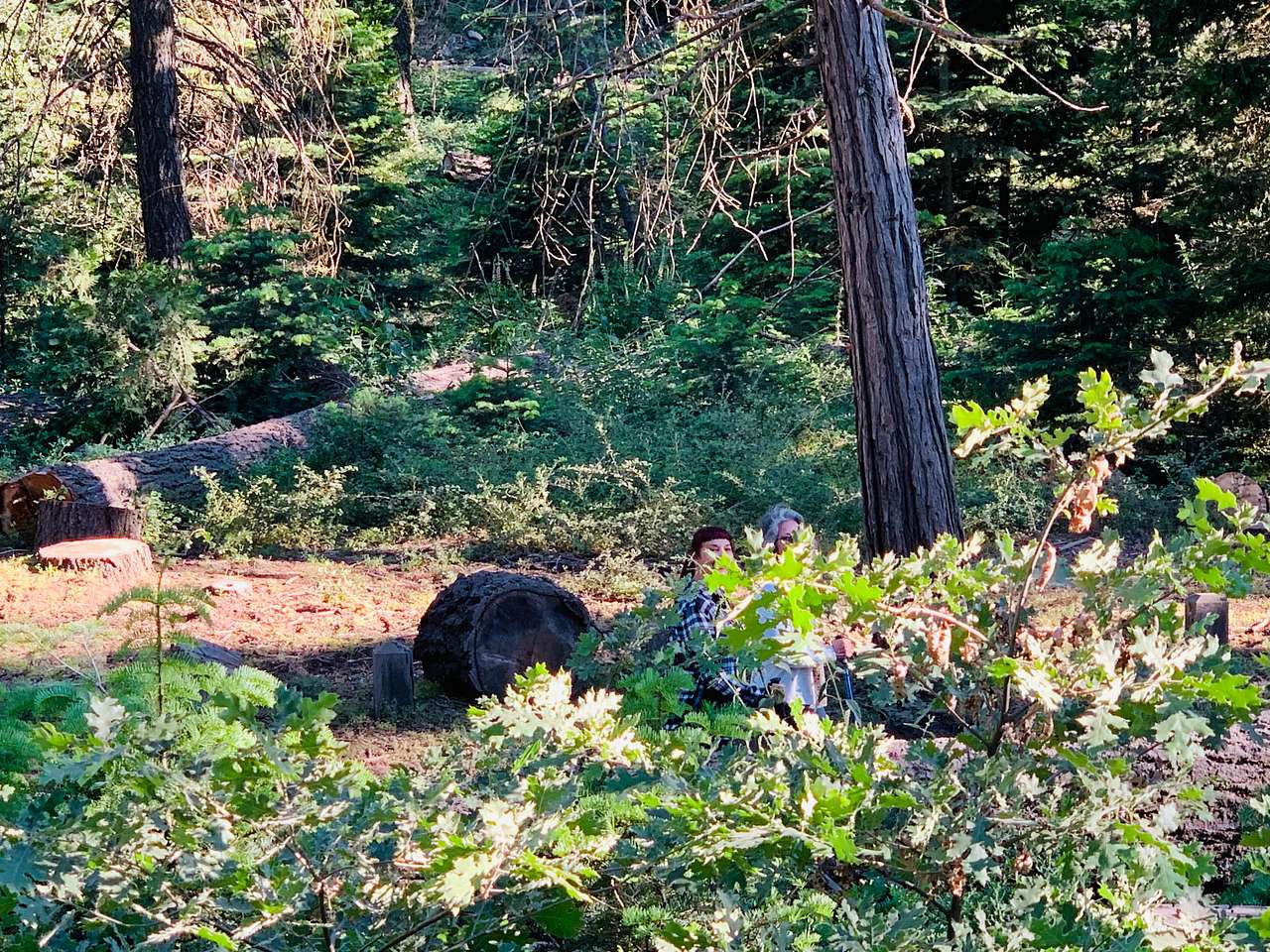 Evans Flat Campground
