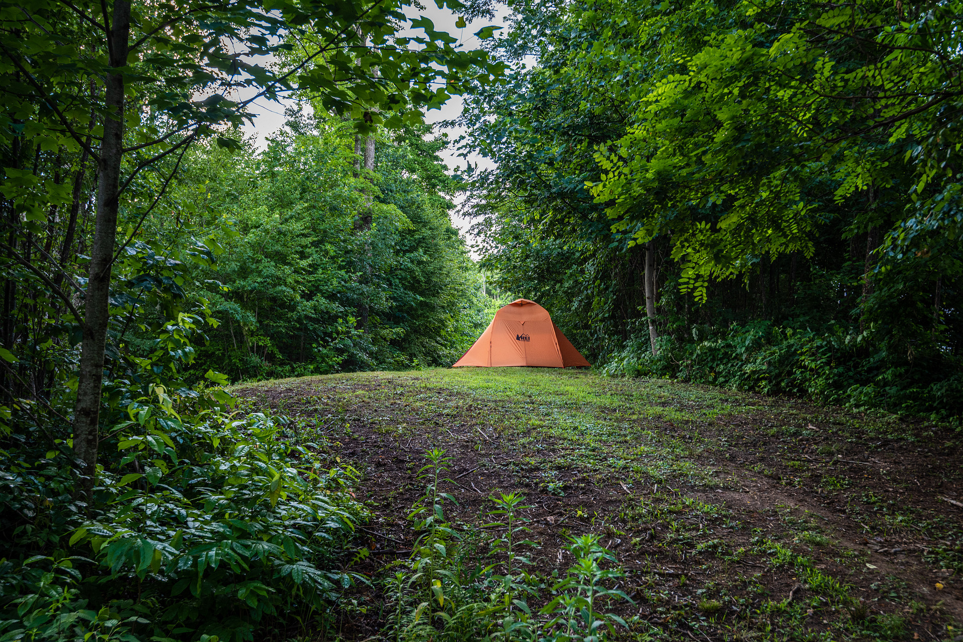 site  8
