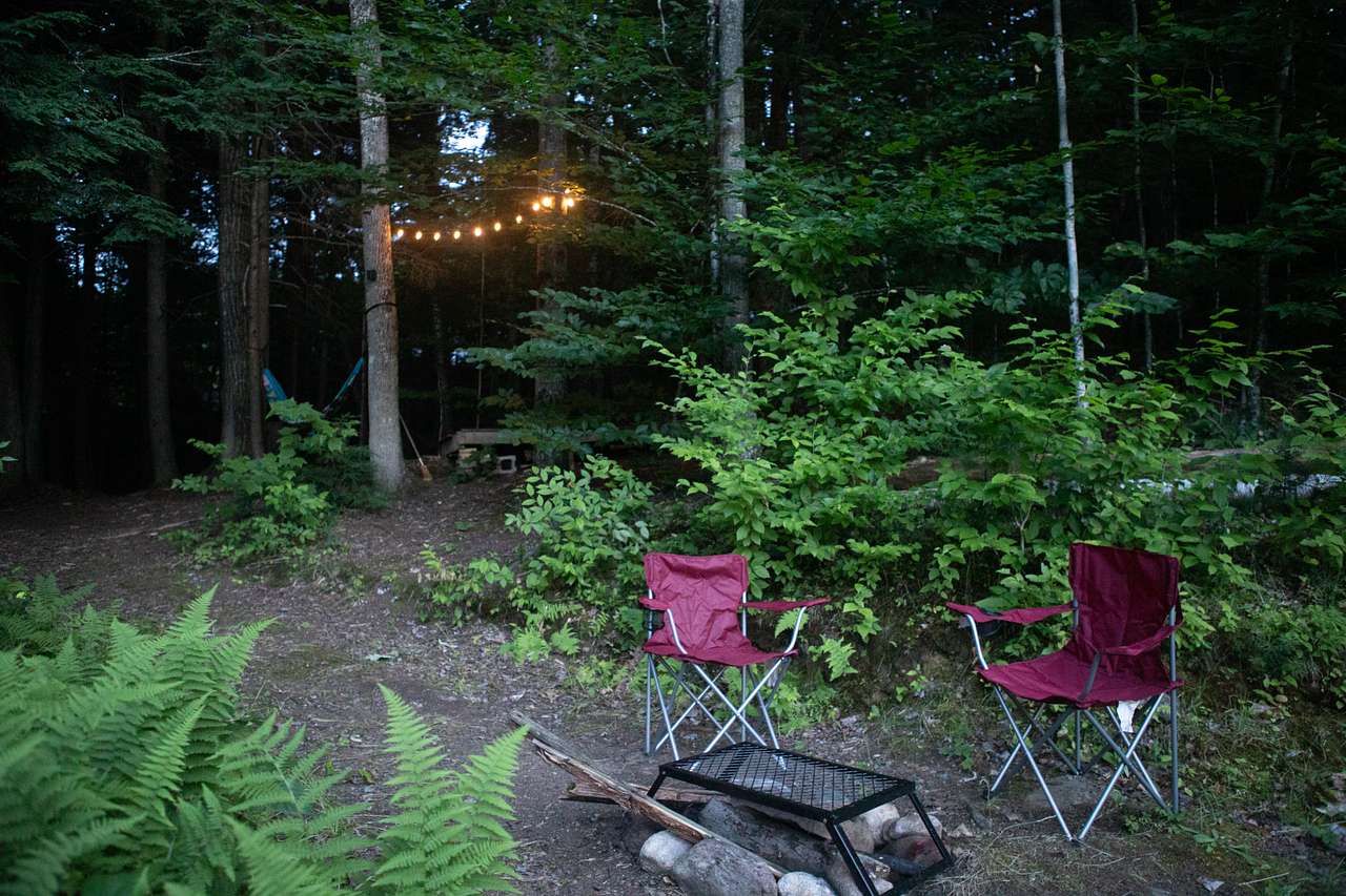 Tent Platform on Forest Edge