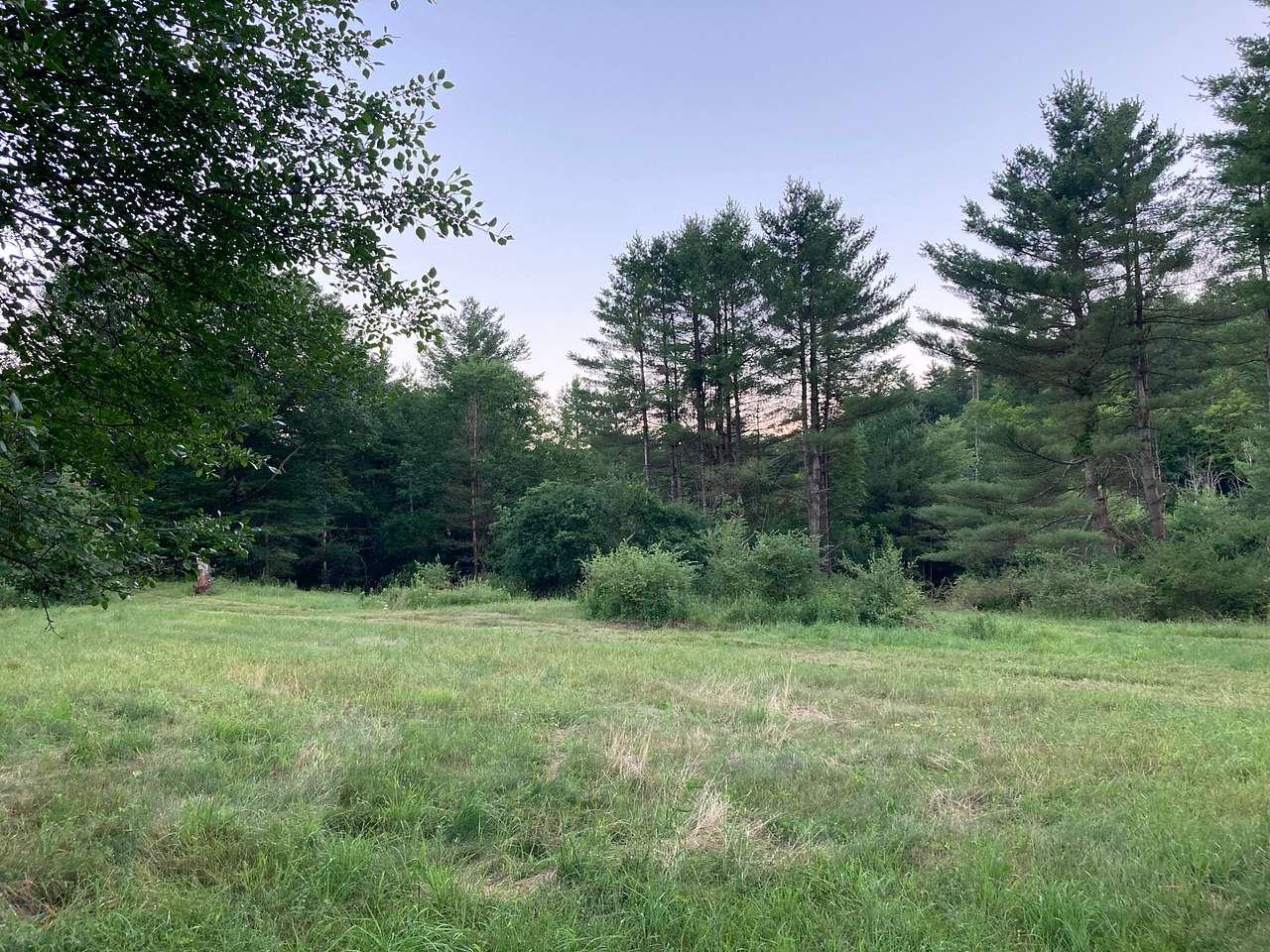 Camp Way Wild