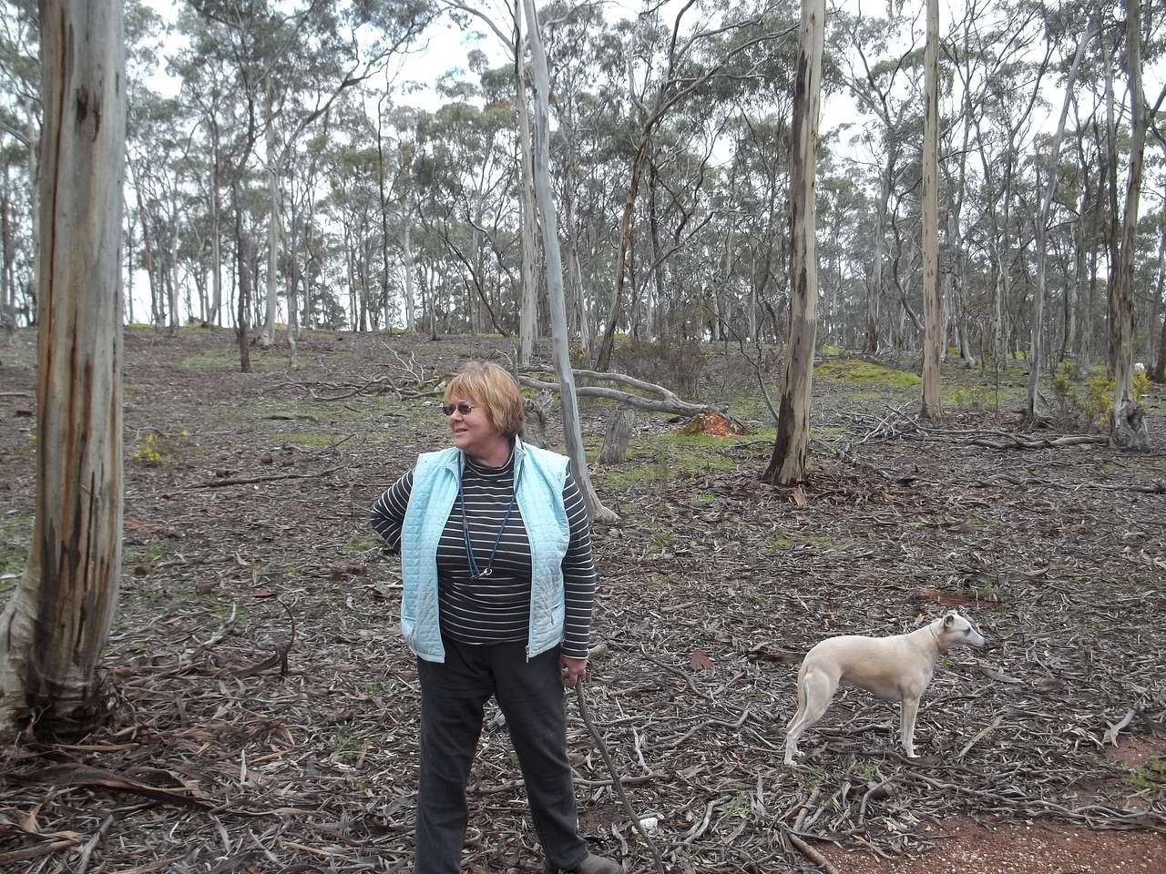 Gooseberry Hill Dunolly