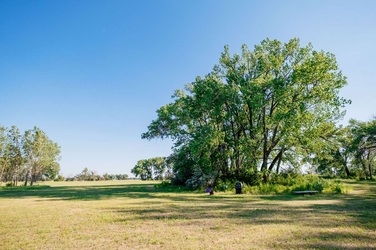 Field site 1