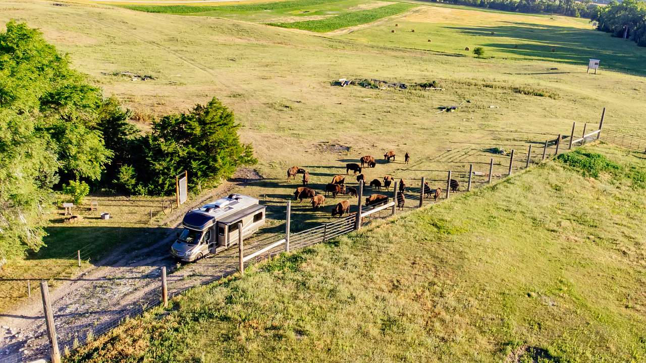 Areal view of Top of the Hill RV site with buffalo