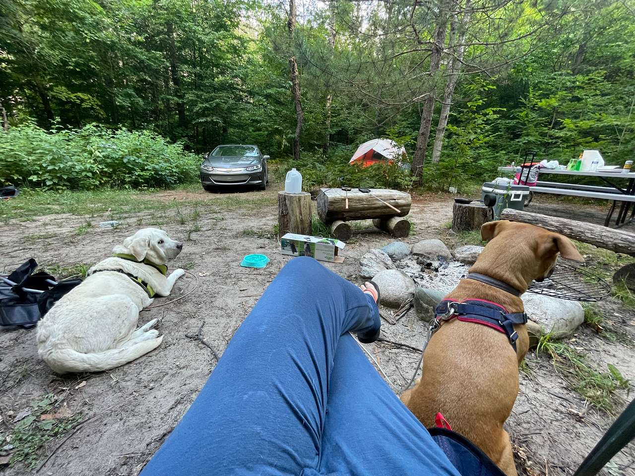 Camp 437 in the Sturgeon Valley