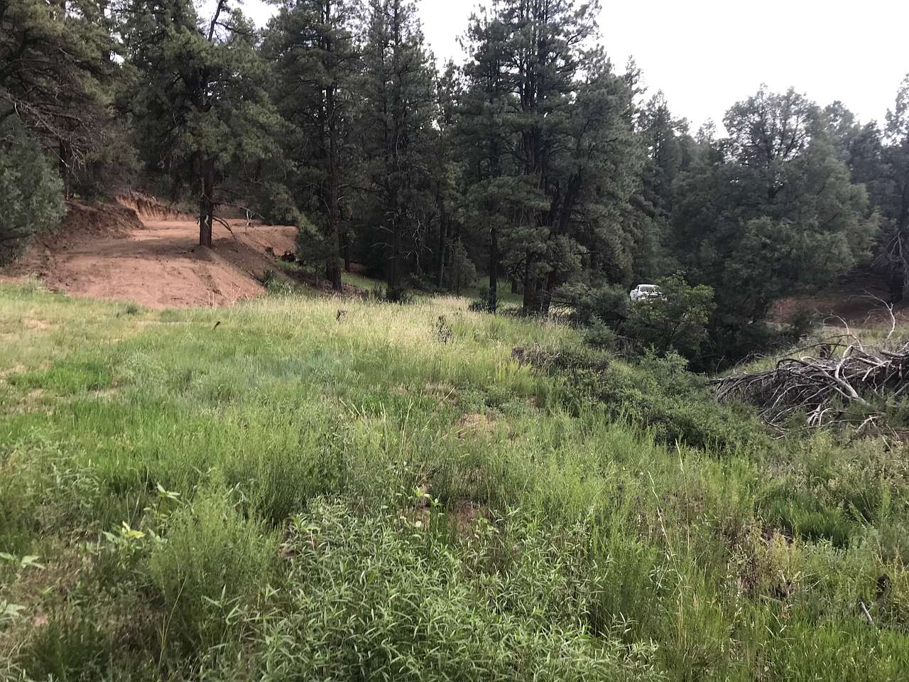 We have a nice large flat area for you to park your small camper or truck camper  we will be cutting down the tree by the driveway soon. 