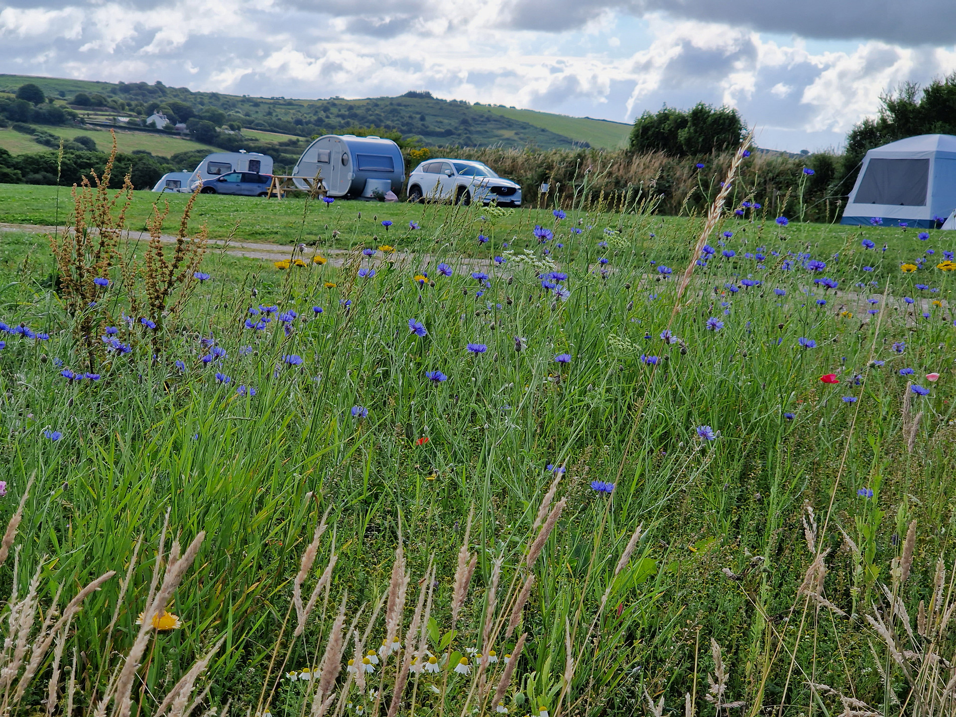 The Camping Field