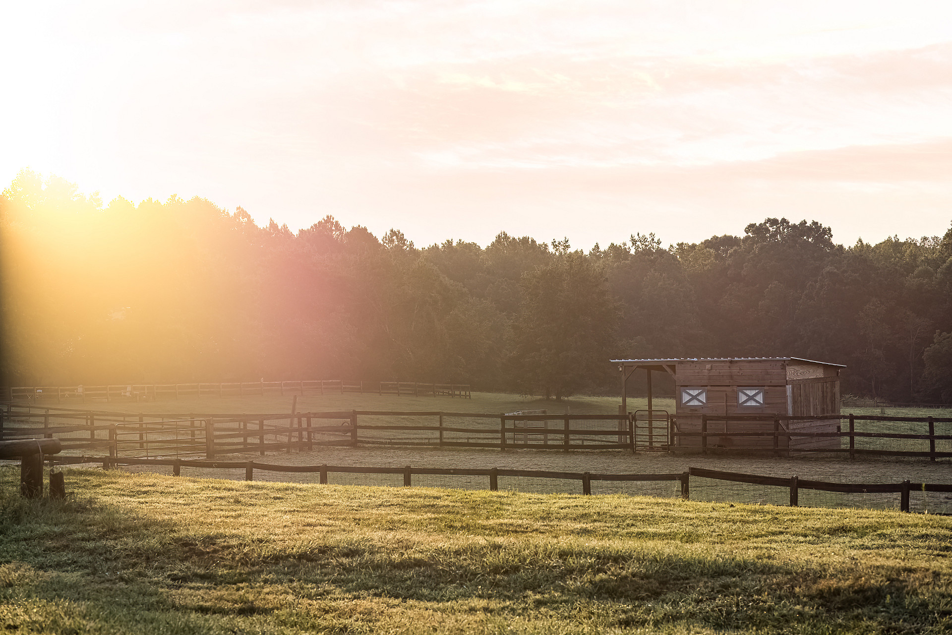 Imagine Equus Farm