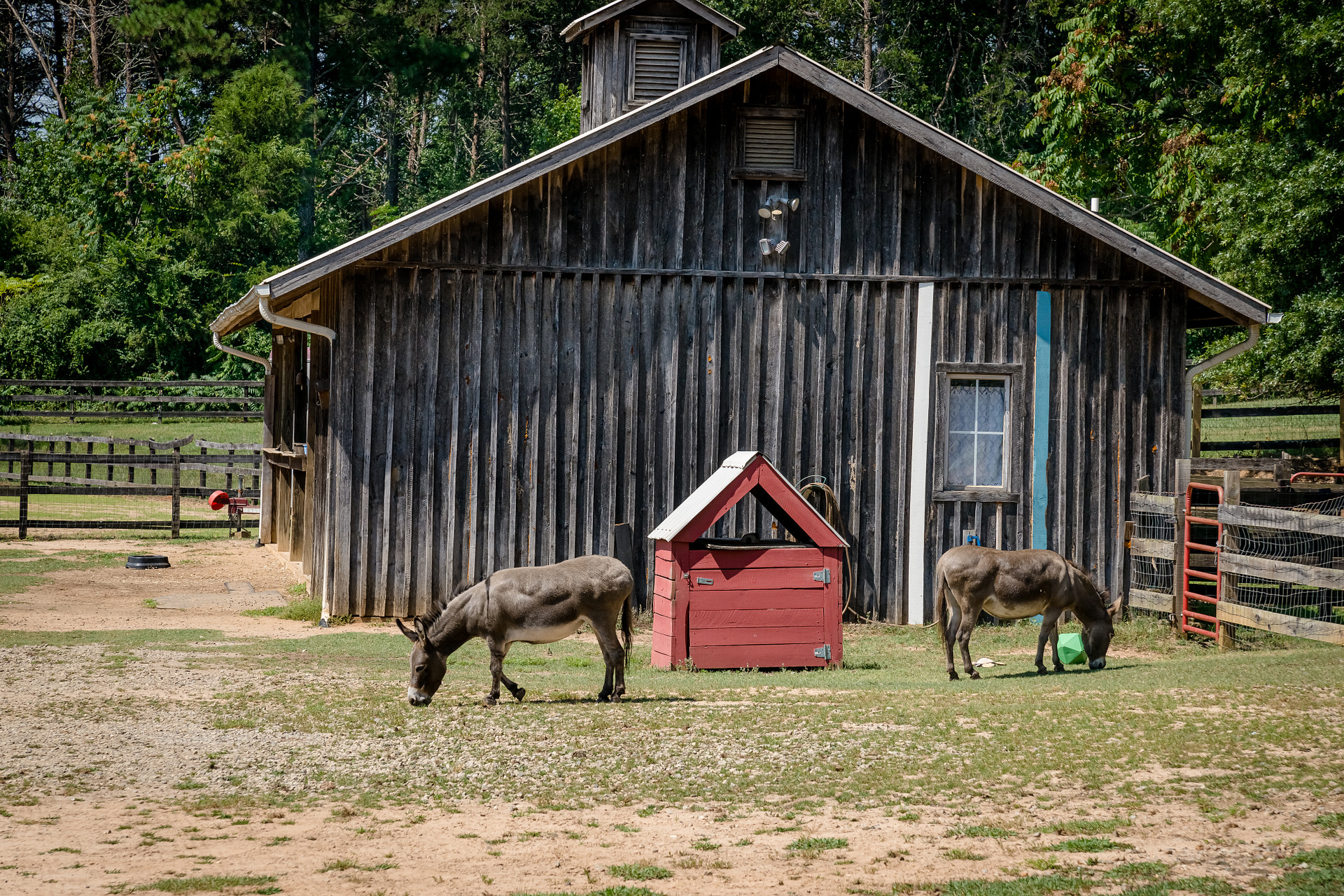 Imagine Equus Farm