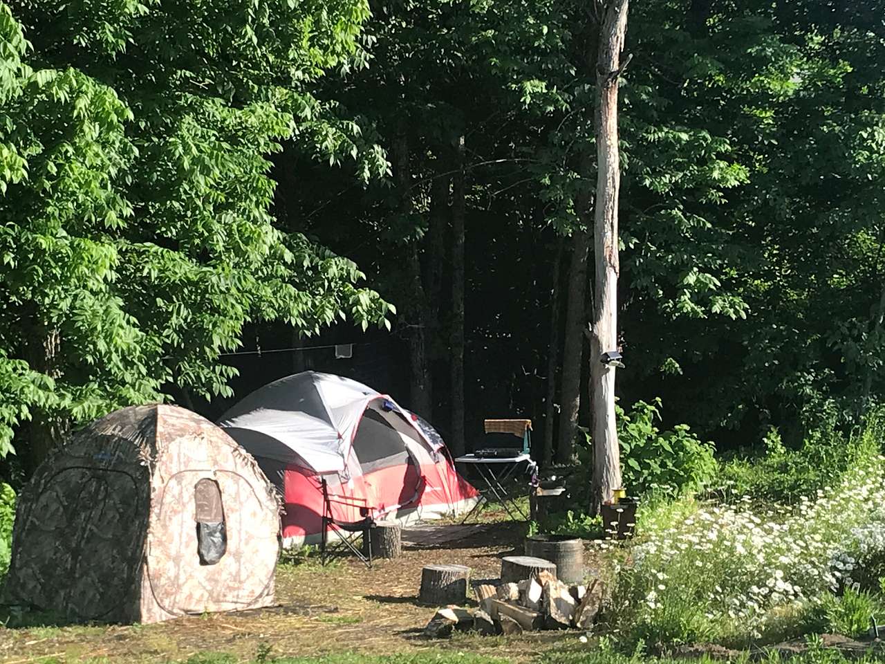 Creek side campsites 