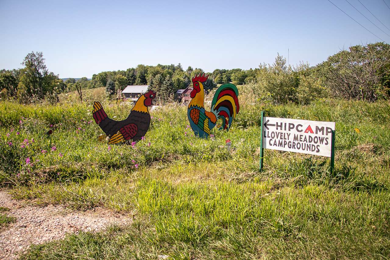 Around the entrance sign, there are cutouts of animals