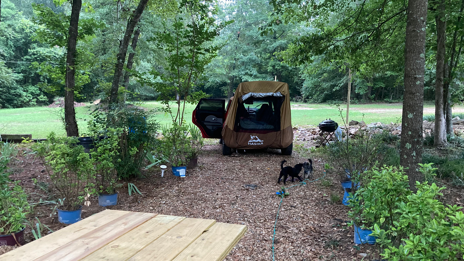 Fishers Pond at the Treehouse