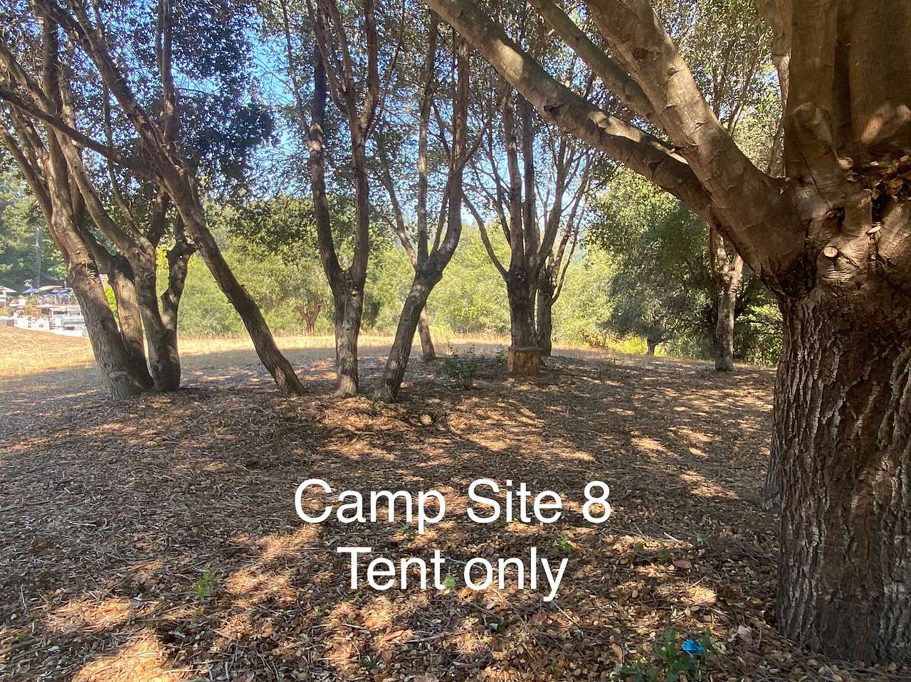 Felton Open Space Camp Sites