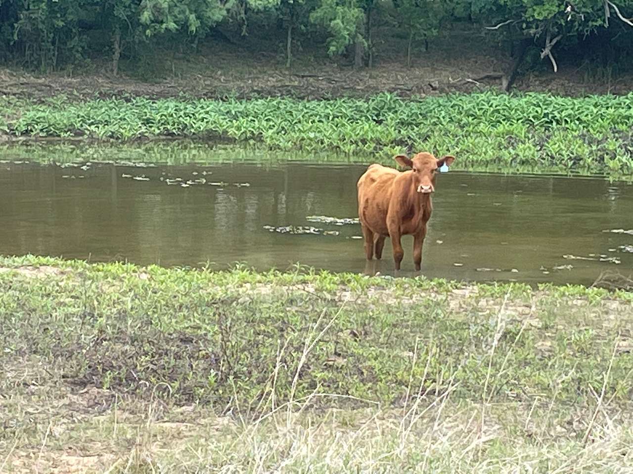 108 Ranch