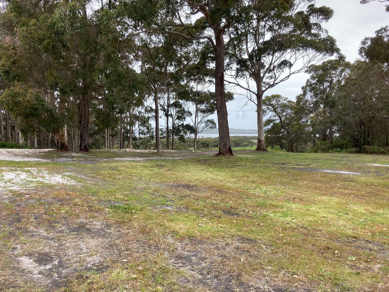 Irwin Inlet Views