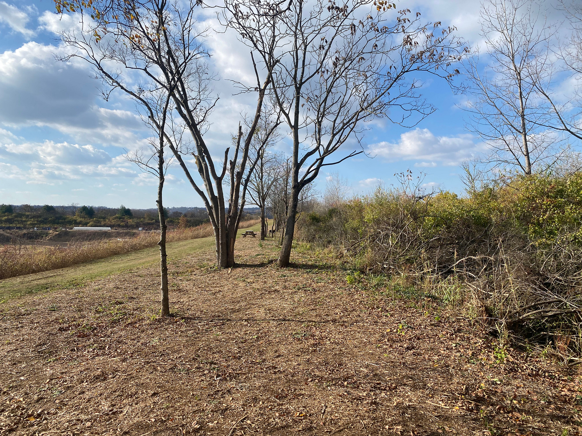 Nice open space.