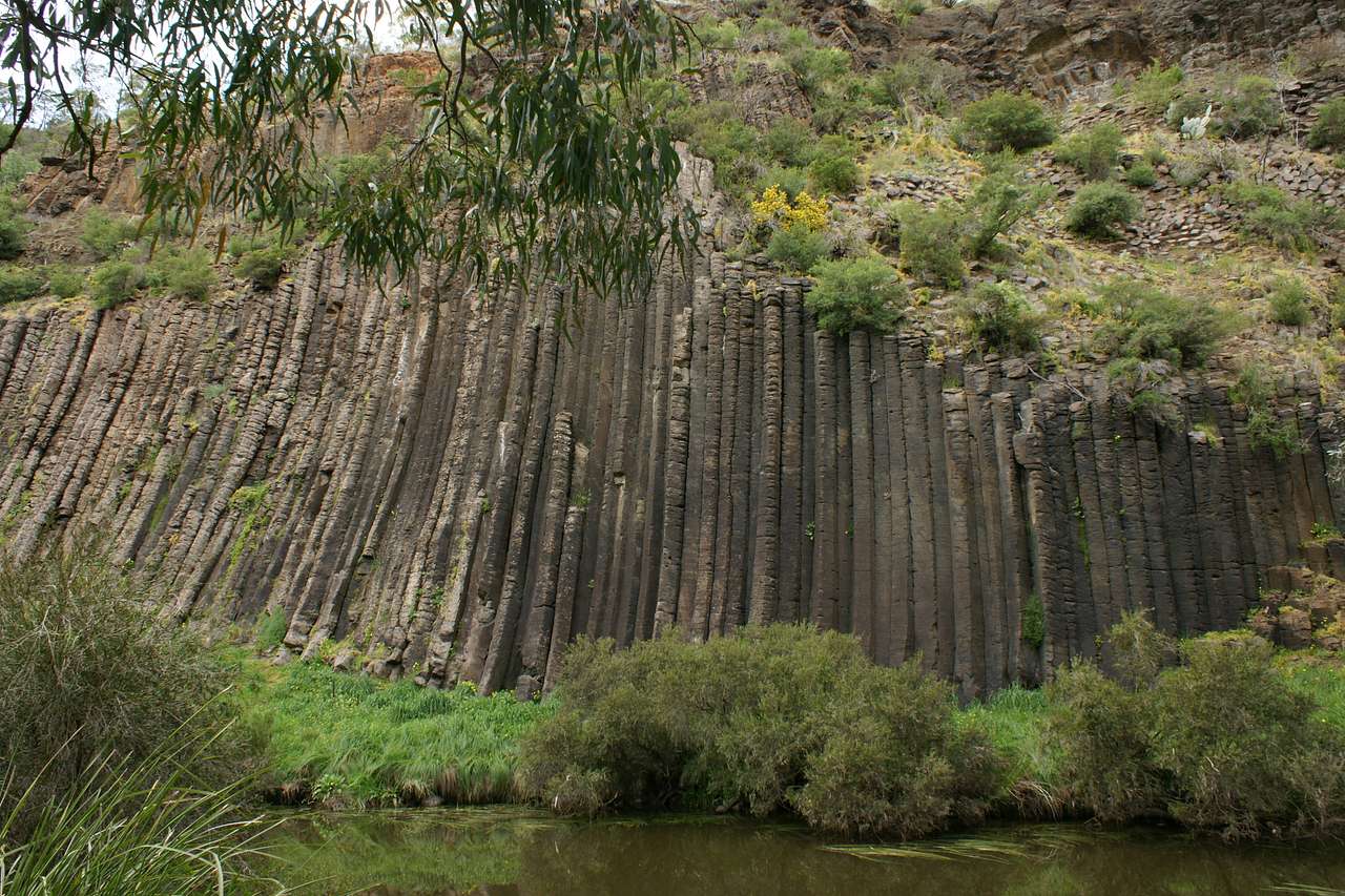Organ Pipes National Park