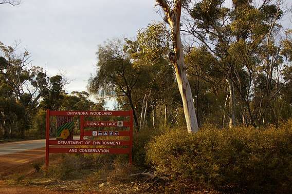 Dryandra Woodland National Park