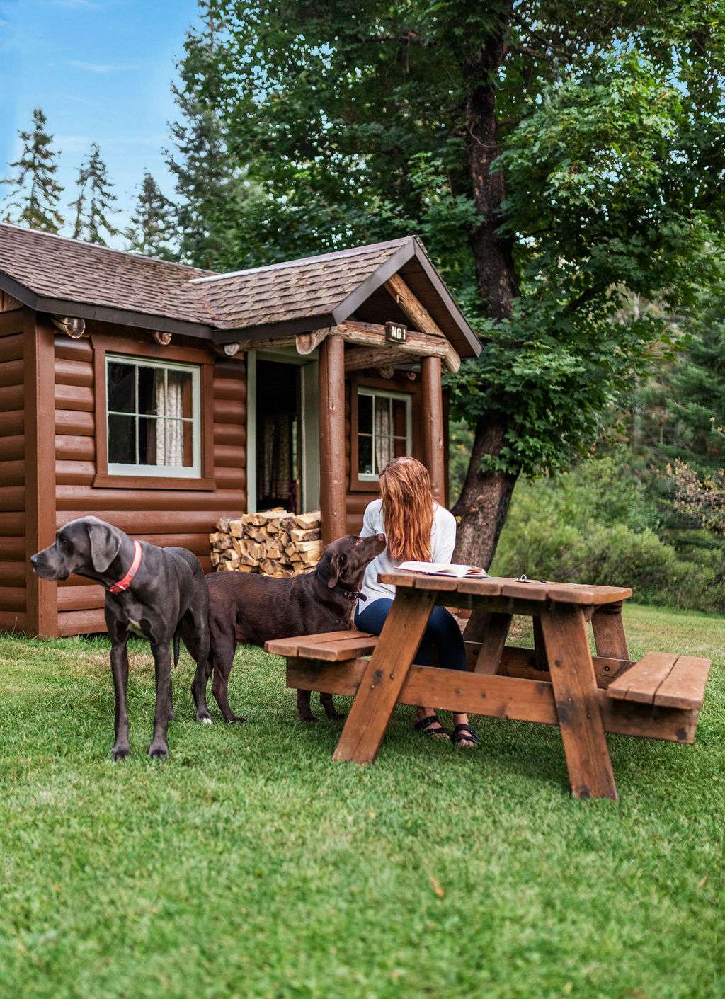 Rustic Cabin 1