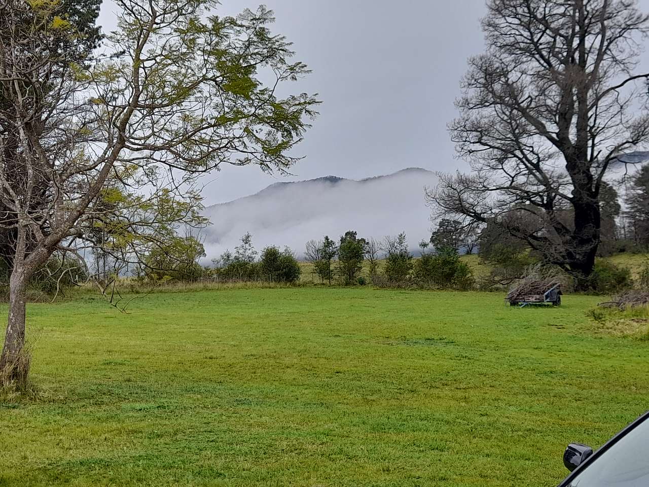 Misty Mountain Wildlife Refuge