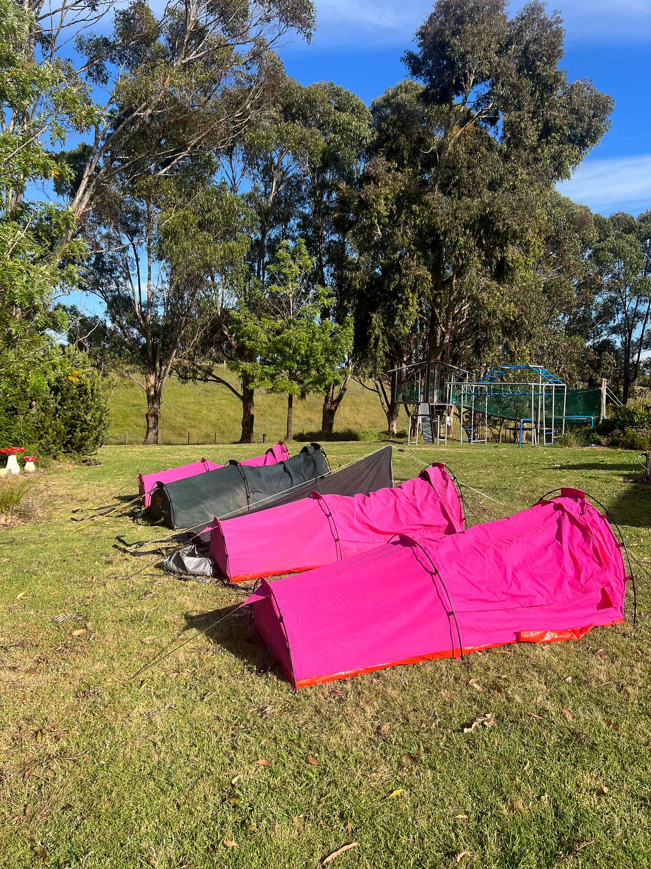 Home among the Gumtrees