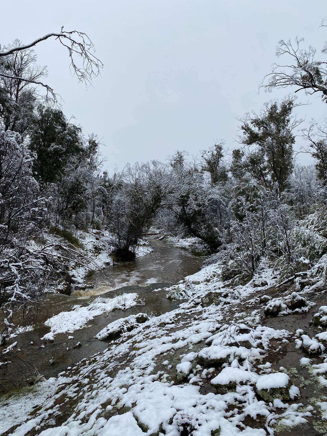 Two Creeks Meet