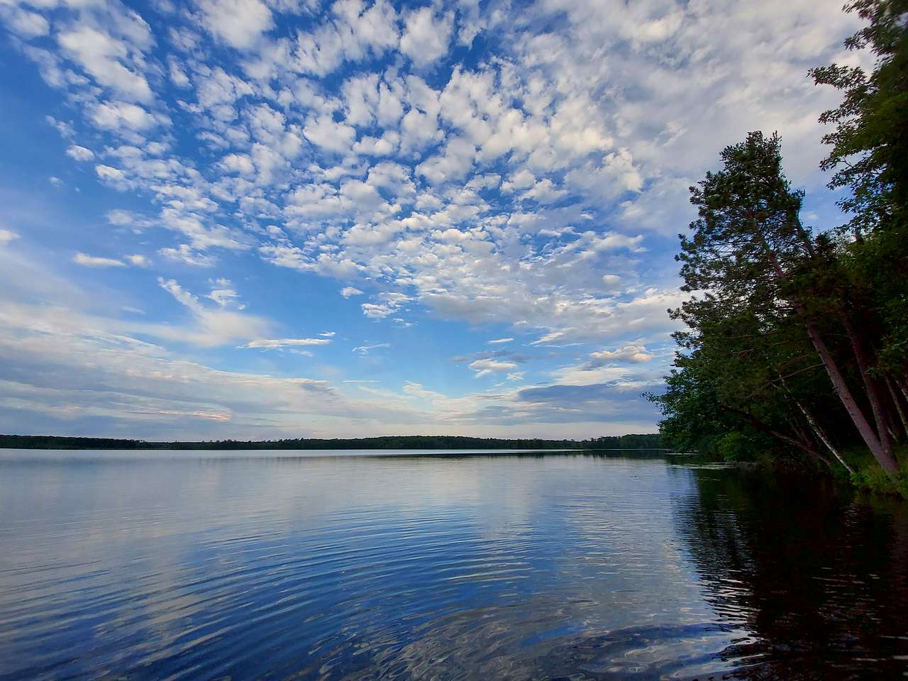 Wise Woods on Fool Lake