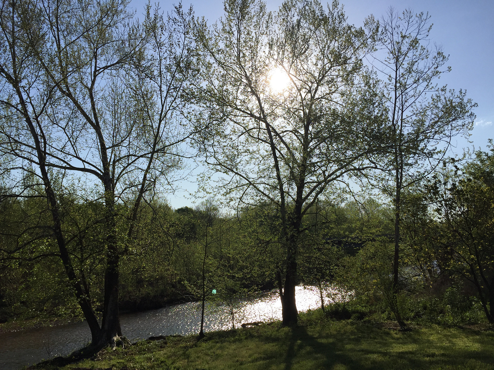 Saco Valley Farm, LLC