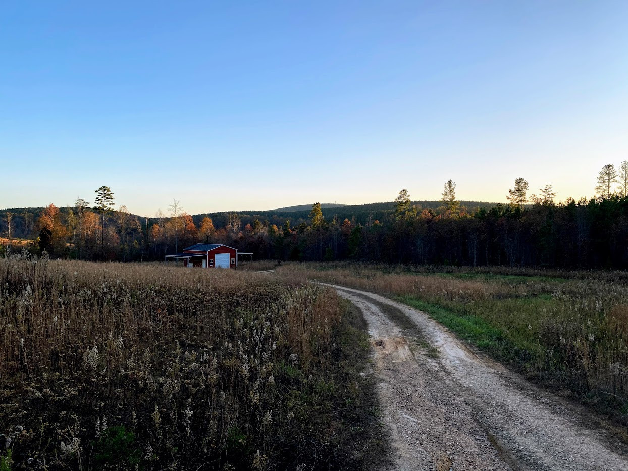 Camp McFender