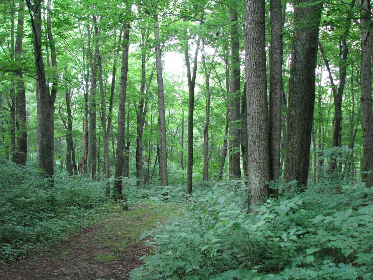 ​Warriors Path State Park