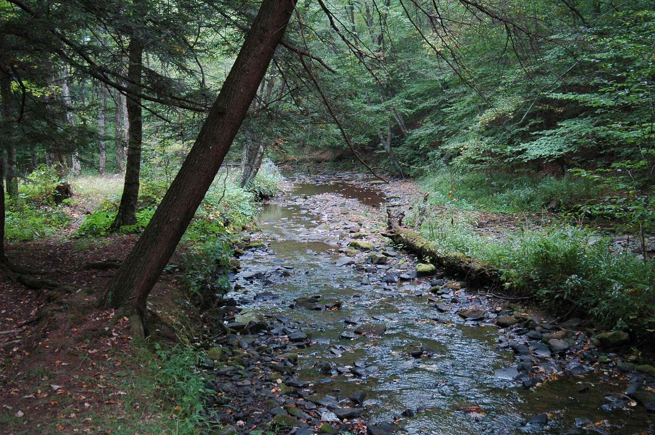 Prouty Place State Park