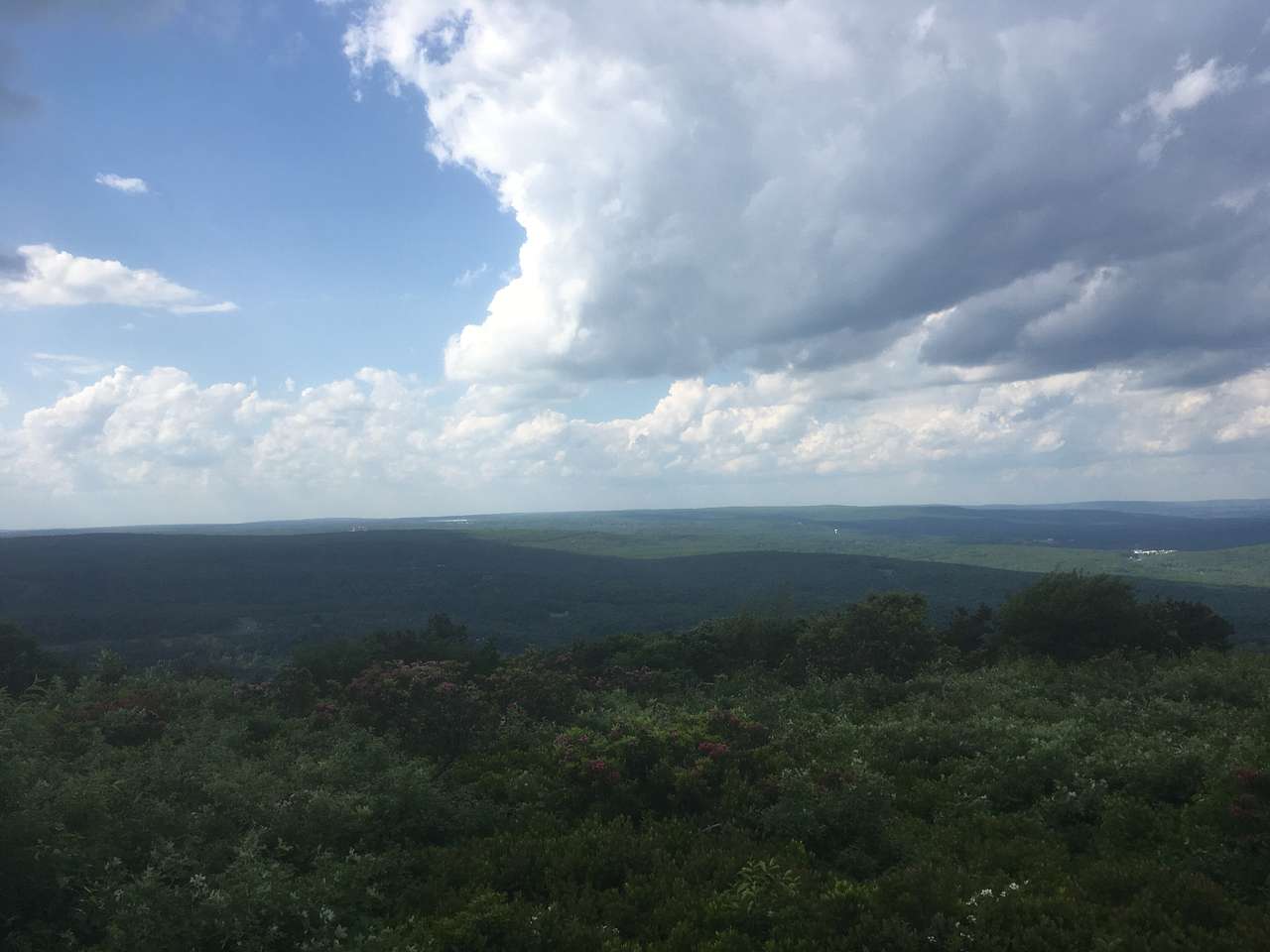 Big Pocono State Park