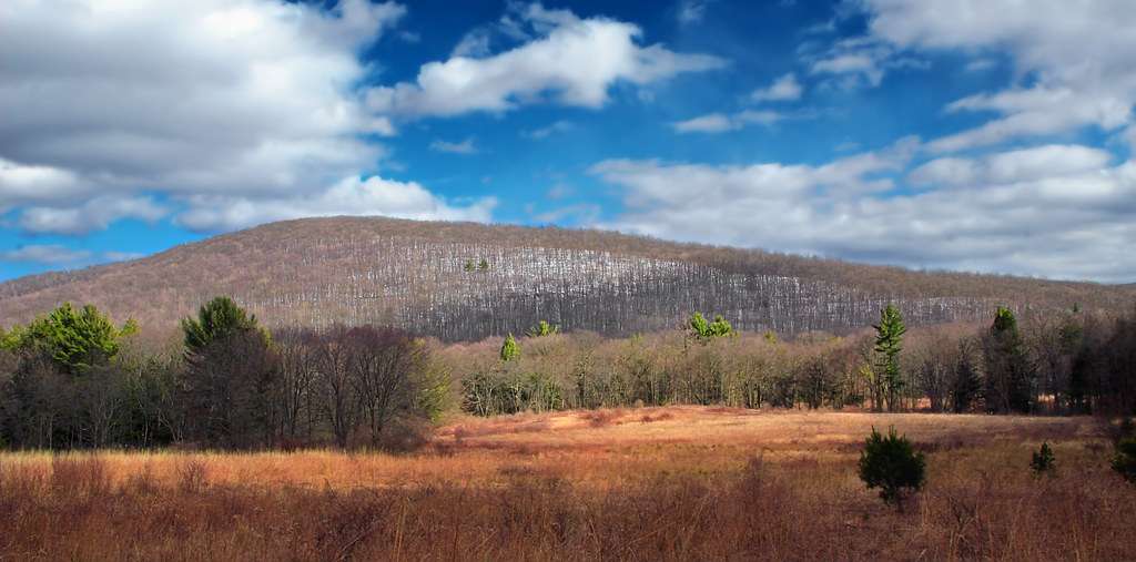 Nescopeck State Park