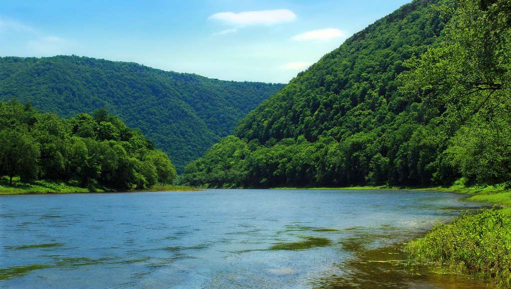 Bucktail State Park Natural Area