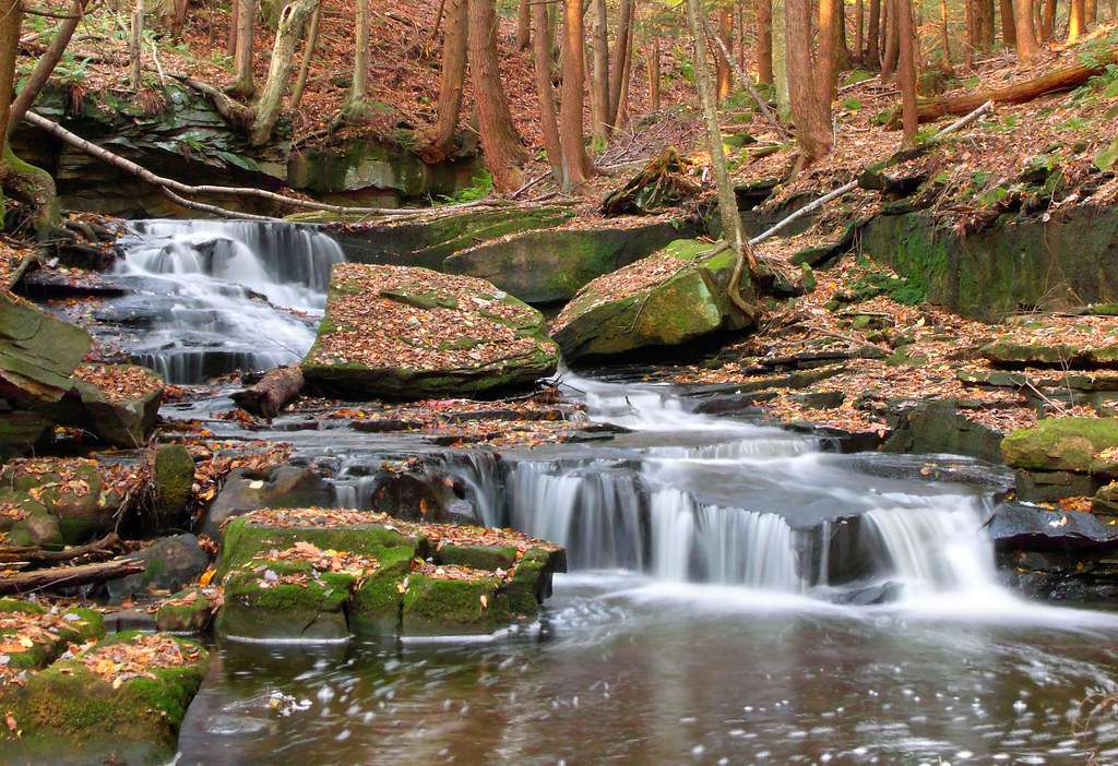 Maurice K. Goddard State Park