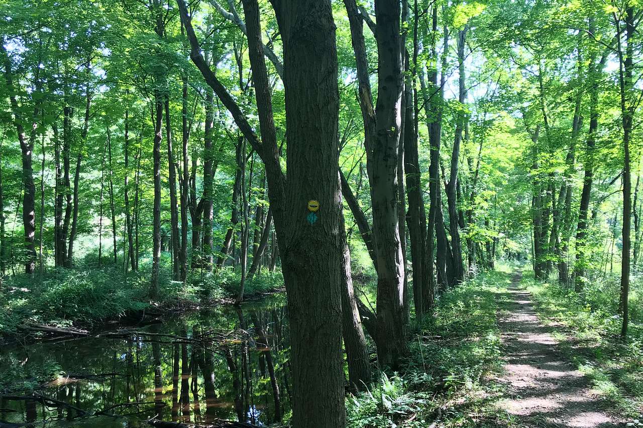 Allamuchy Mountain State Park