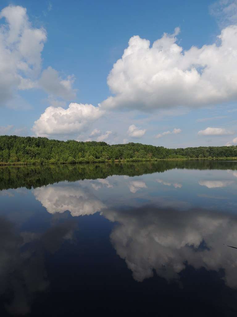 Pigeon Swamp State Park