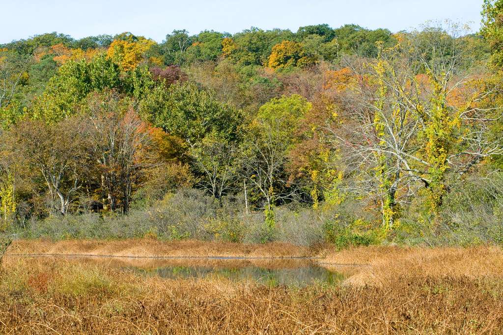 Ringwood State Park