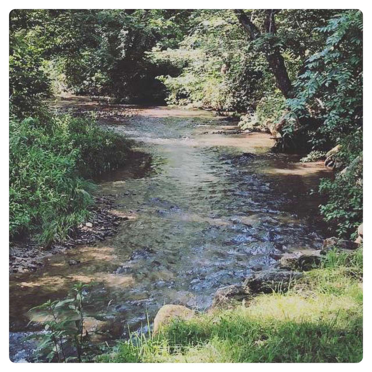 Coyote Valley Art Farm: Otto, NC