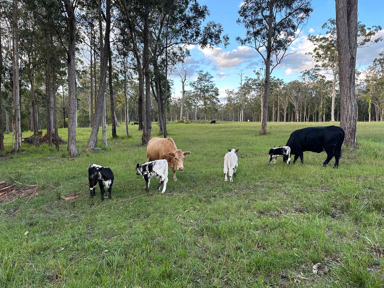 Crockers Creek Hideaway Farm