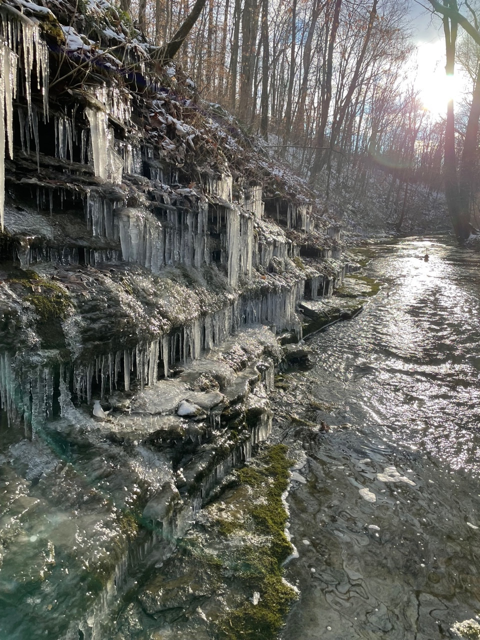 Winter by the creek